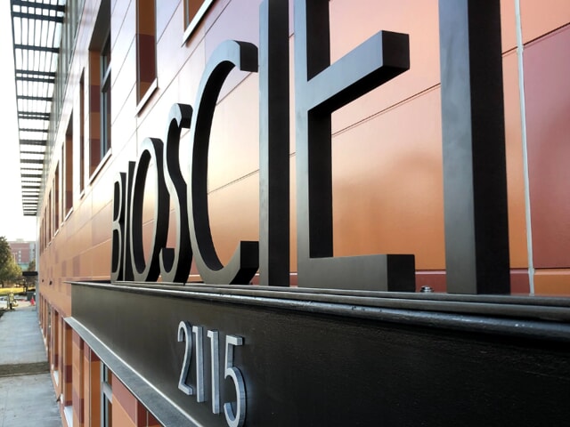 Exterior Dimensional